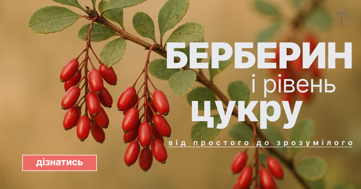 ☀️ Берберин и сахар в крови: как это работает и что следует учитывать