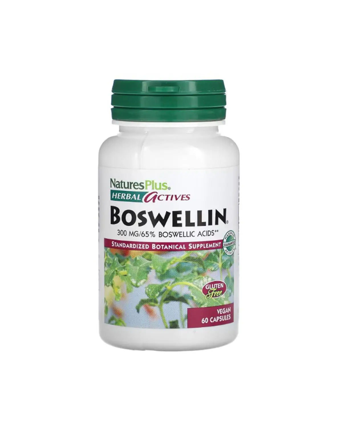 Босвеллин 300 мг | 60 кап Natures Plus 20205278